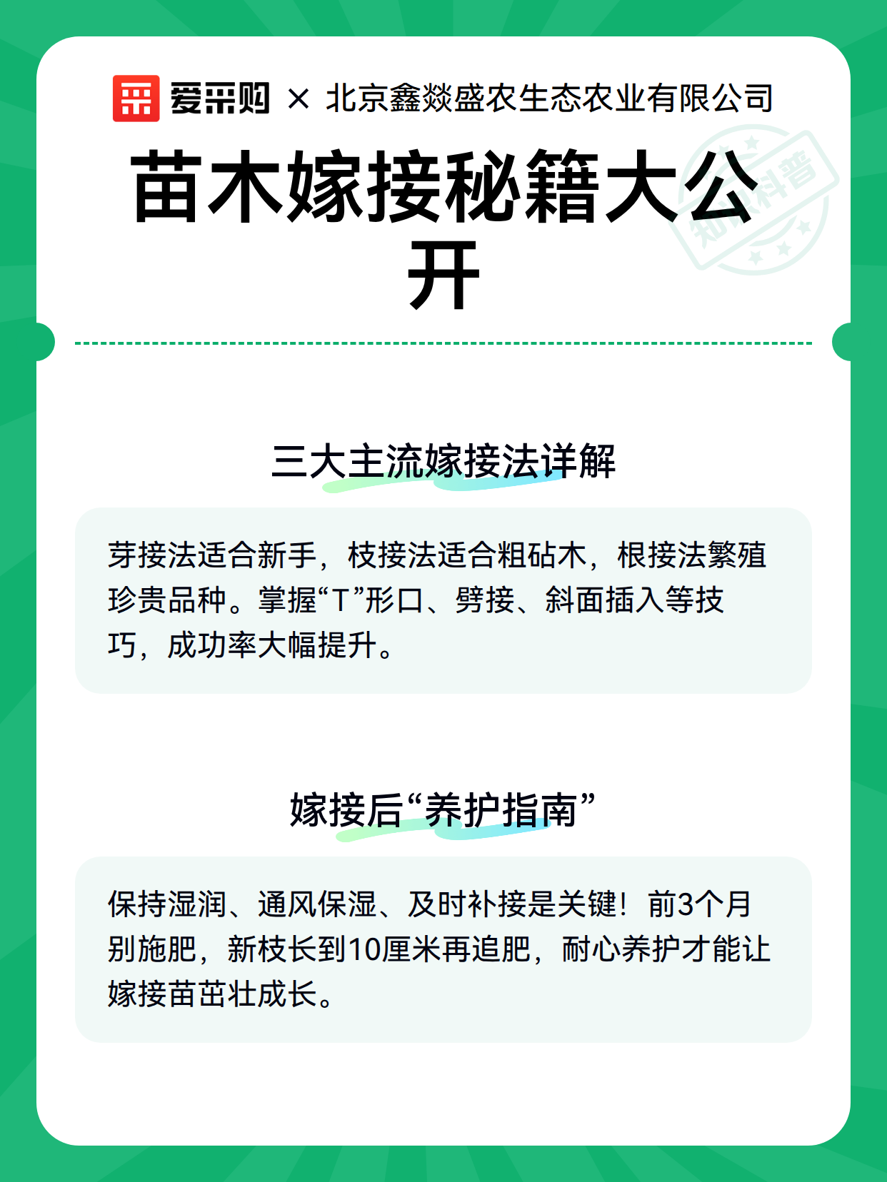 苗木嫁接秘籍大公开（图3）