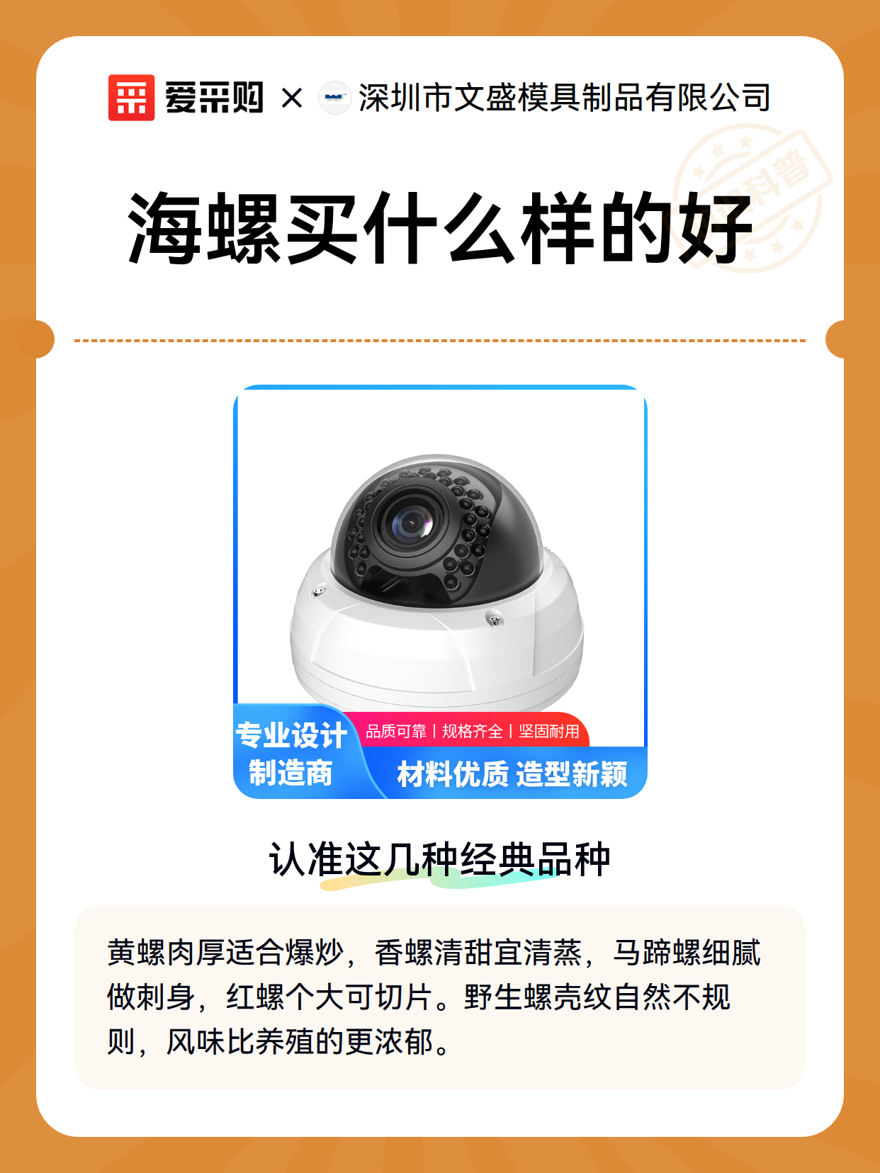 海螺买什么样的好（图1）