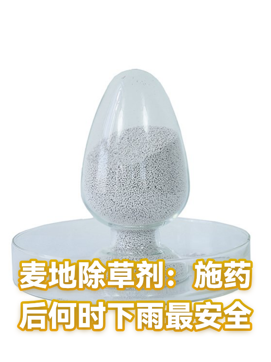 麦地除草剂：施药后何时下雨最安全（图1）
