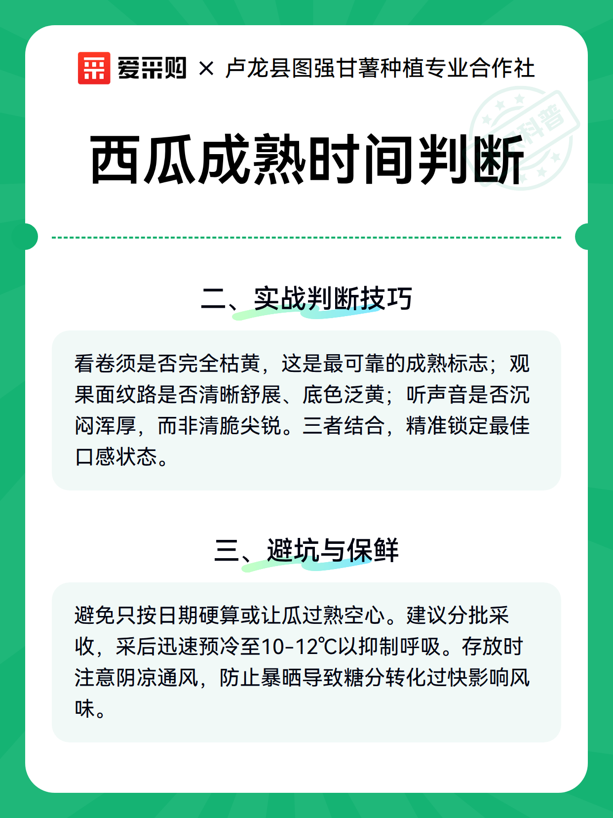 西瓜成熟时间判断（图3）