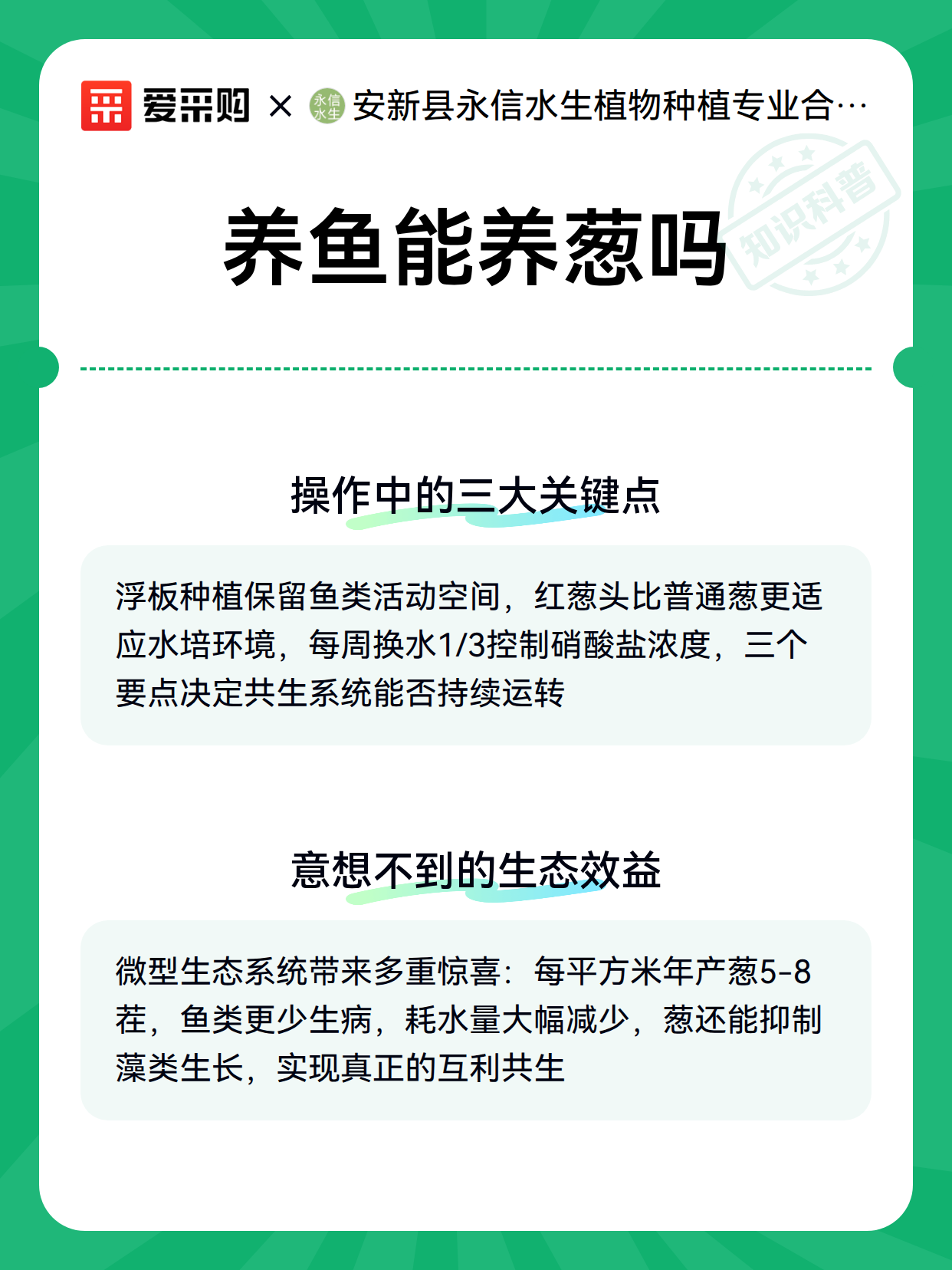 养鱼能养葱吗（图3）