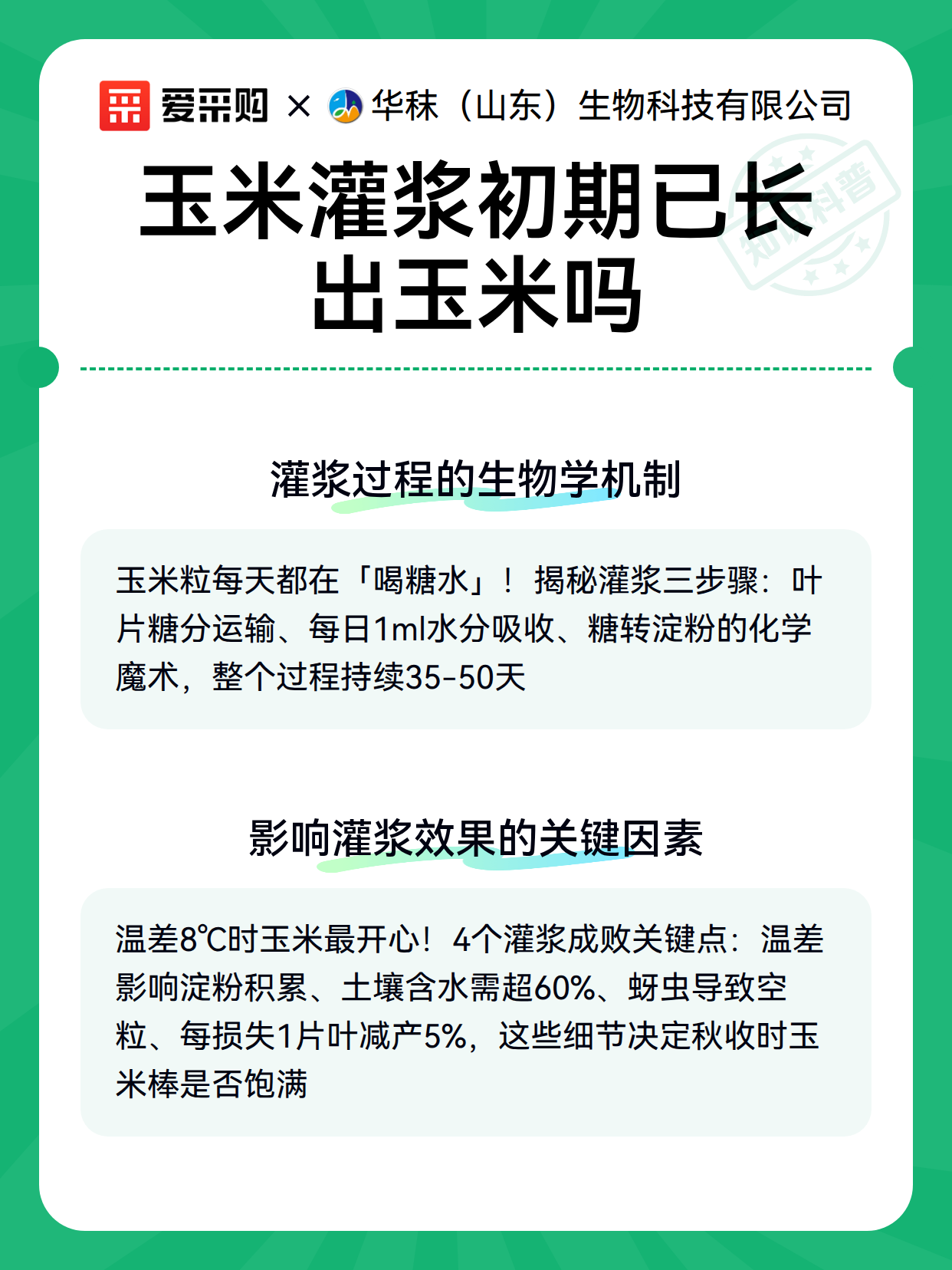 玉米灌浆初期已长出玉米吗（图3）