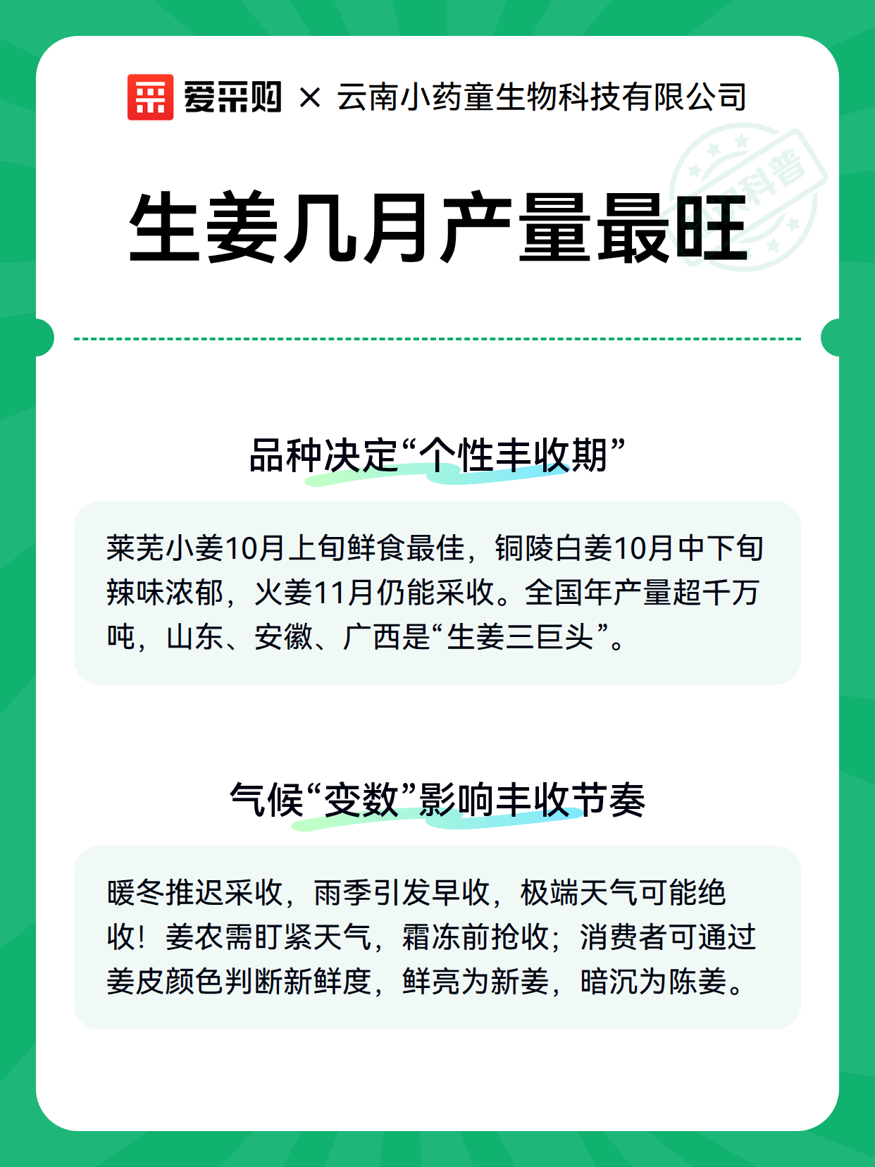 生姜几月产量最旺（图3）