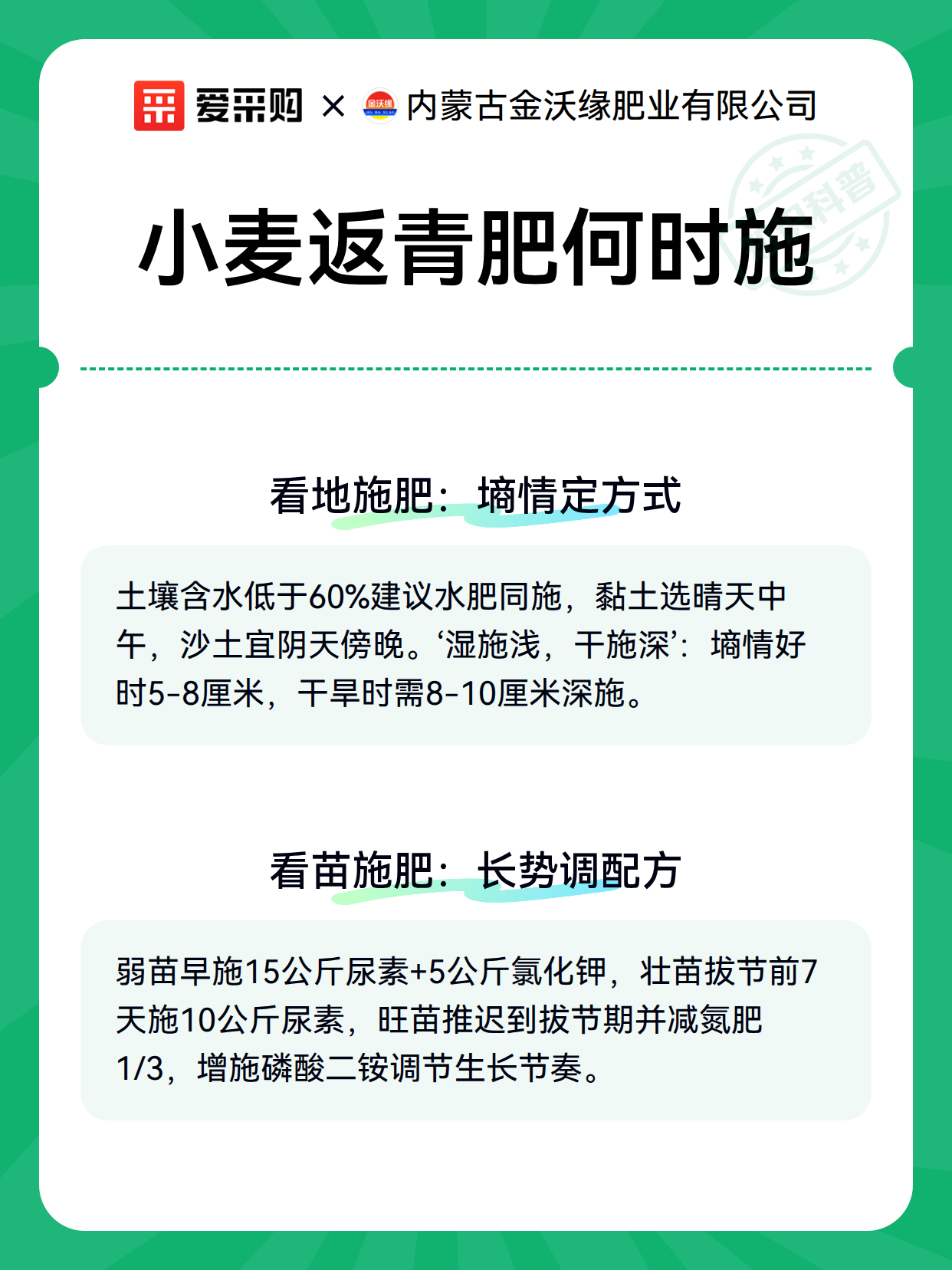 小麦返青肥何时施（图2）
