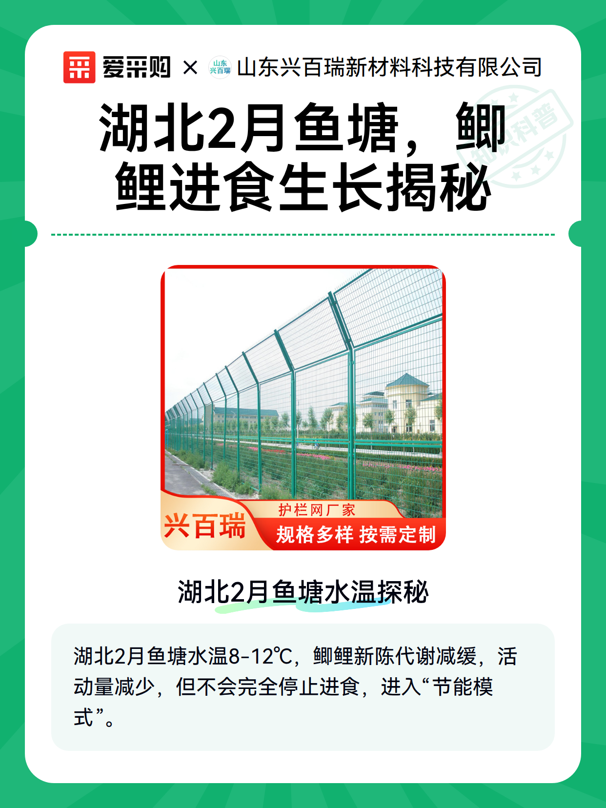 湖北2月鱼塘，鲫鲤进食生长揭秘（图1）