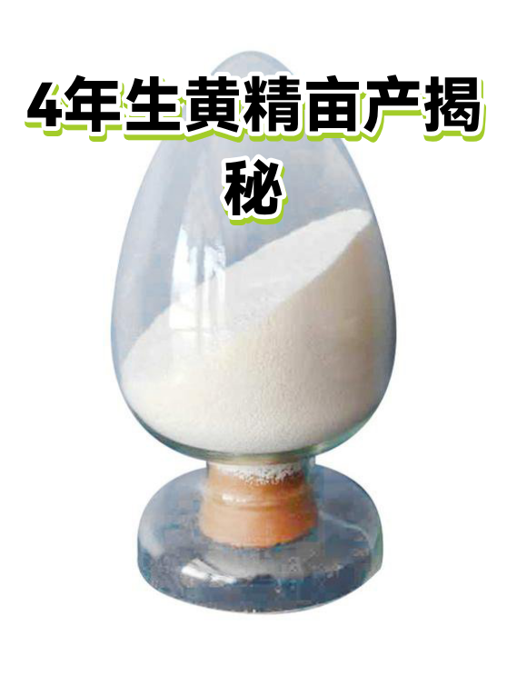 4年生黄精亩产揭秘（图1）