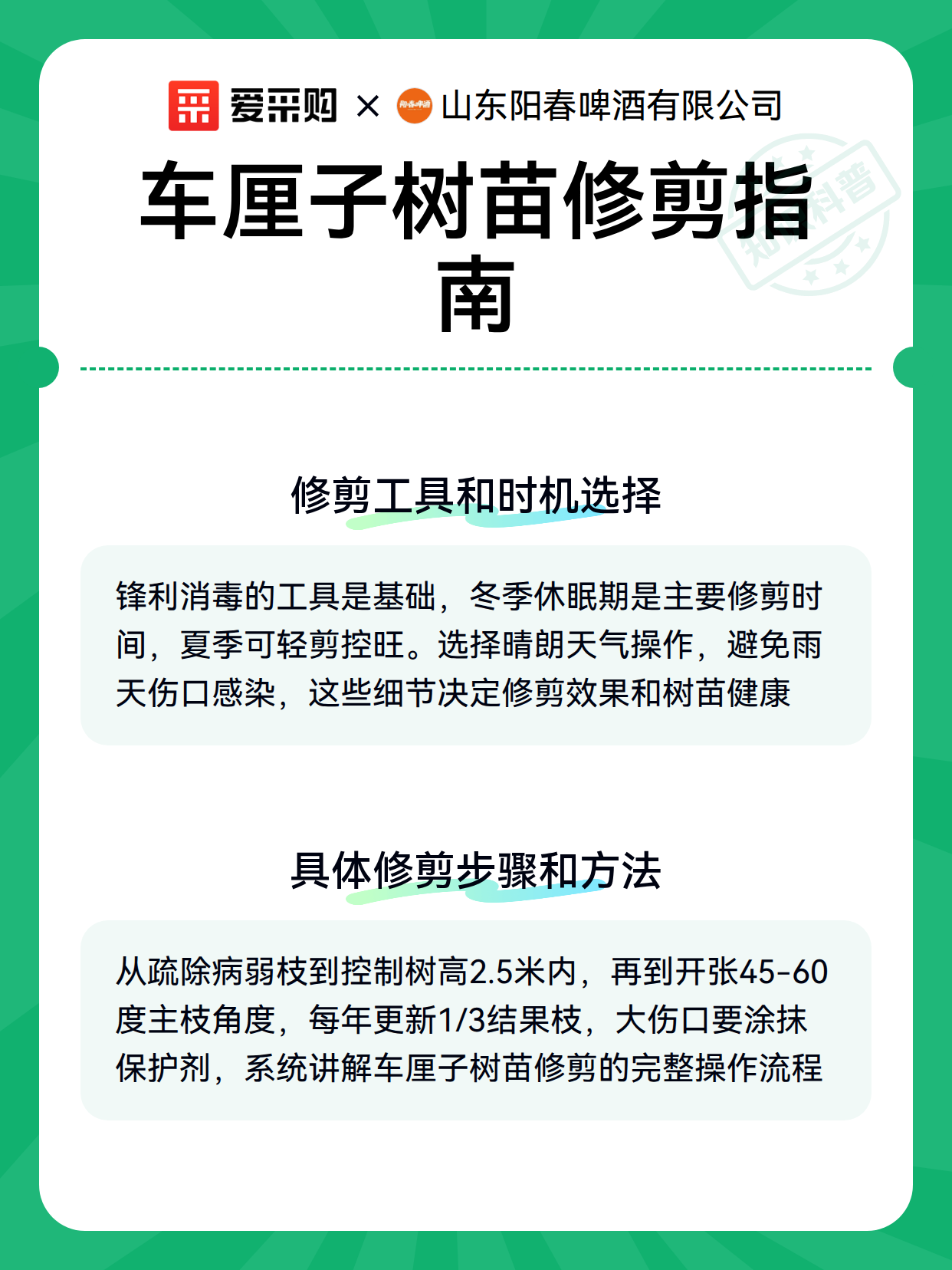 车厘子树苗修剪指南（图3）