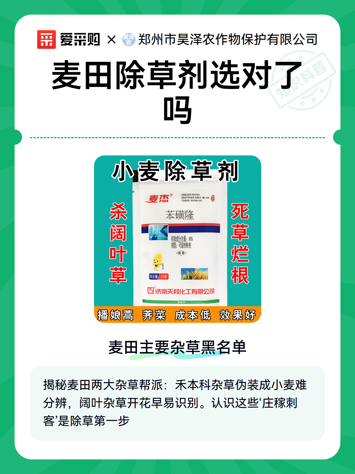 麦田除草剂选对了吗（图1）