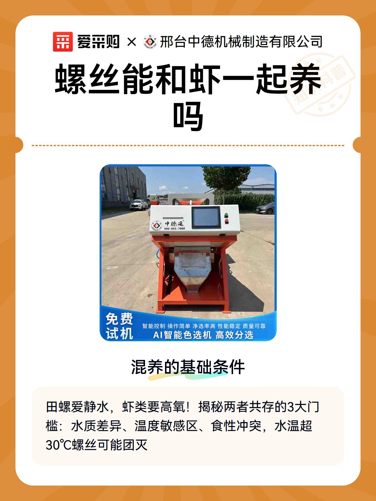 螺丝能和虾一起养吗（图1）