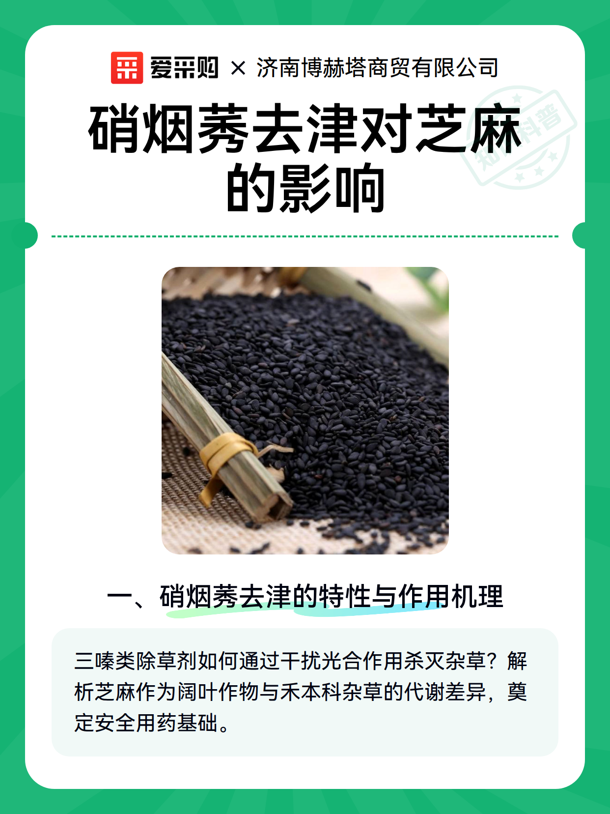 硝烟莠去津对芝麻的影响（图2）