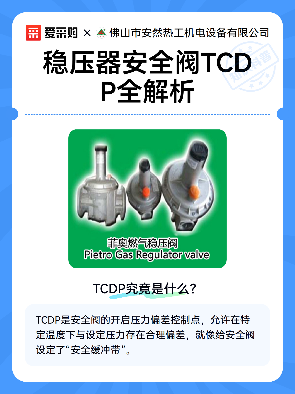 稳压器安全阀TCDP全解析（图2）