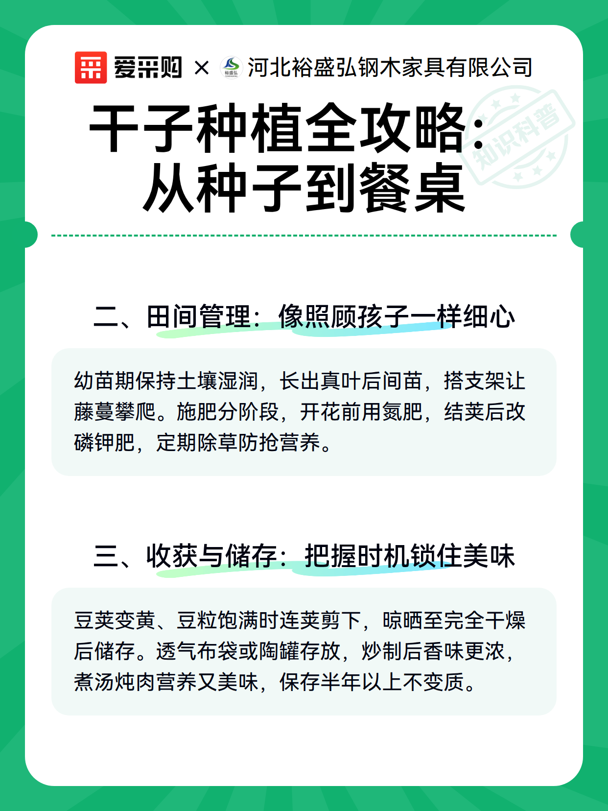干子种植全攻略：从种子到餐桌（图3）