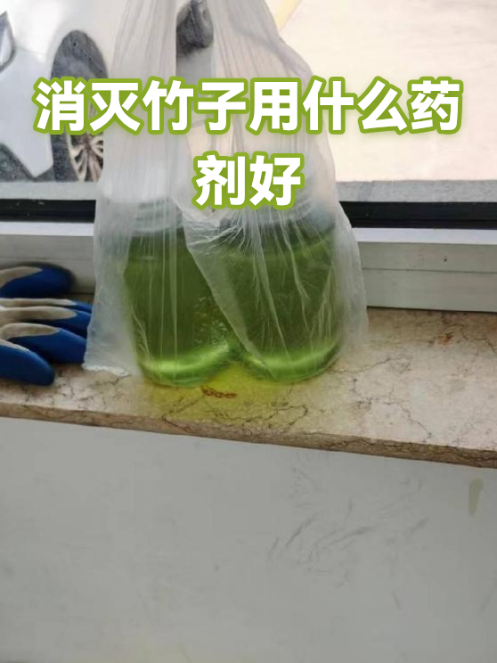 消灭竹子用什么药剂好（图1）