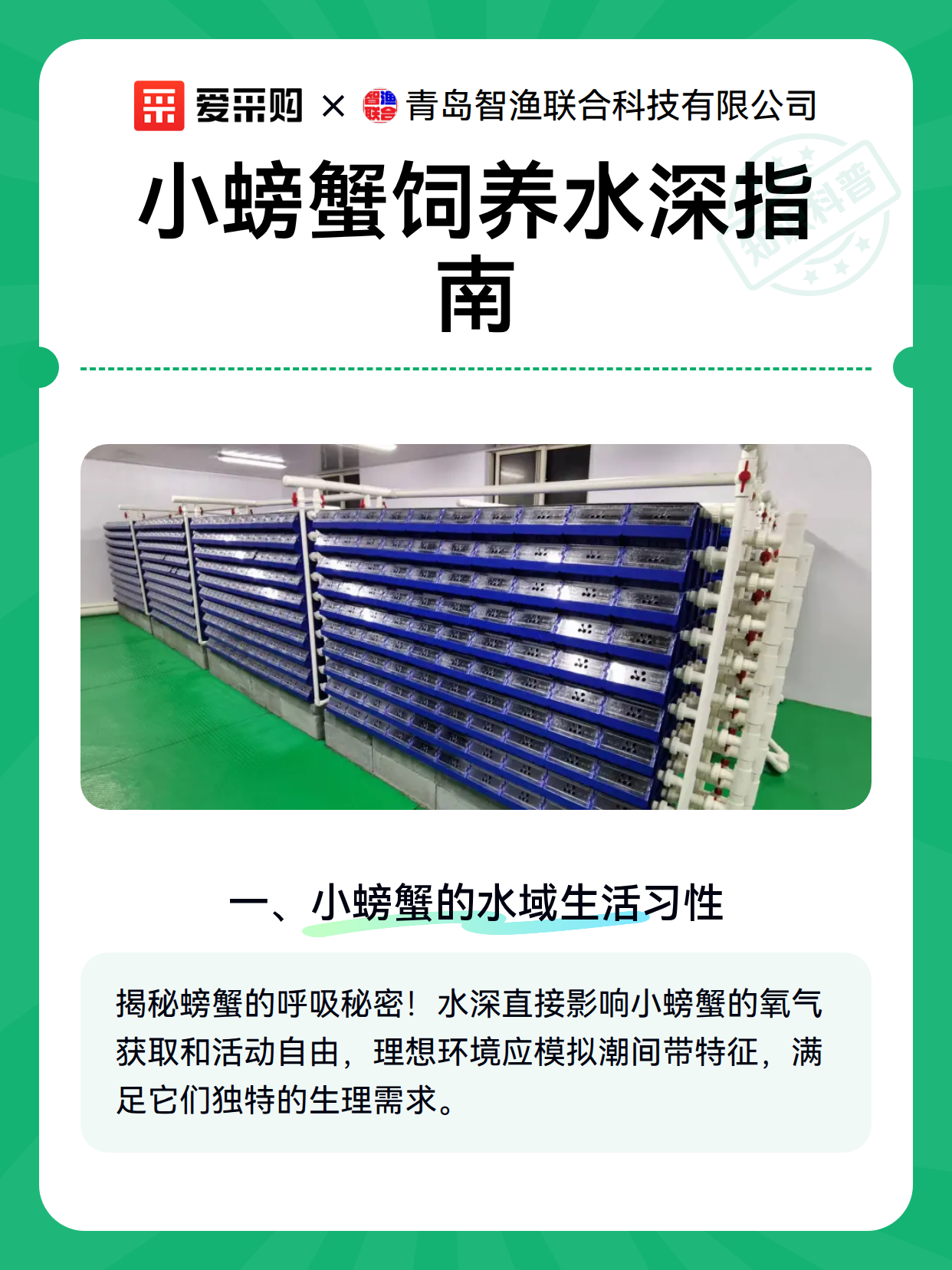 小螃蟹饲养水深指南（图1）