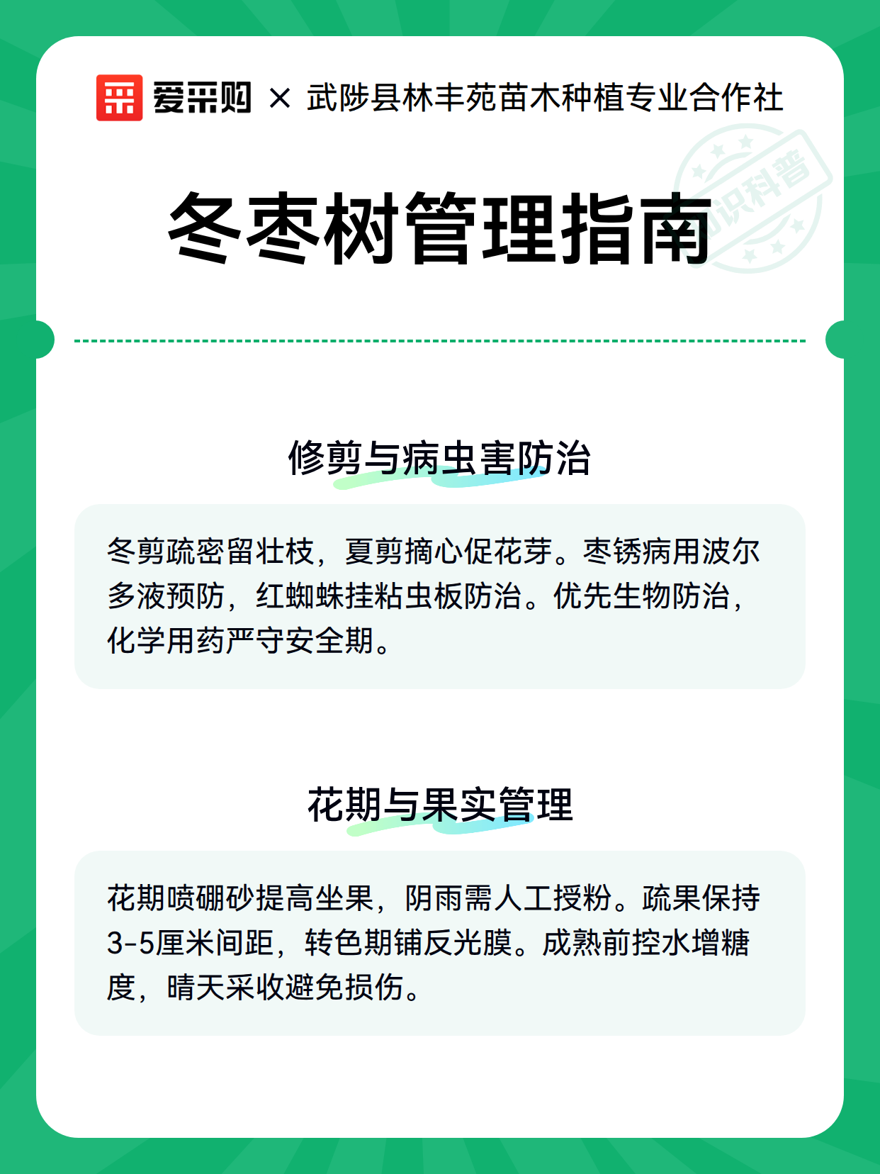 冬枣树管理指南（图3）
