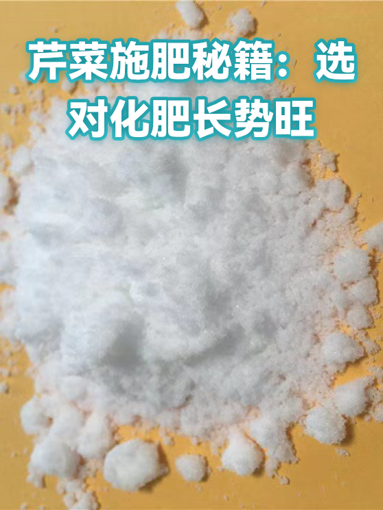 芹菜施肥秘籍：选对化肥长势旺（图1）