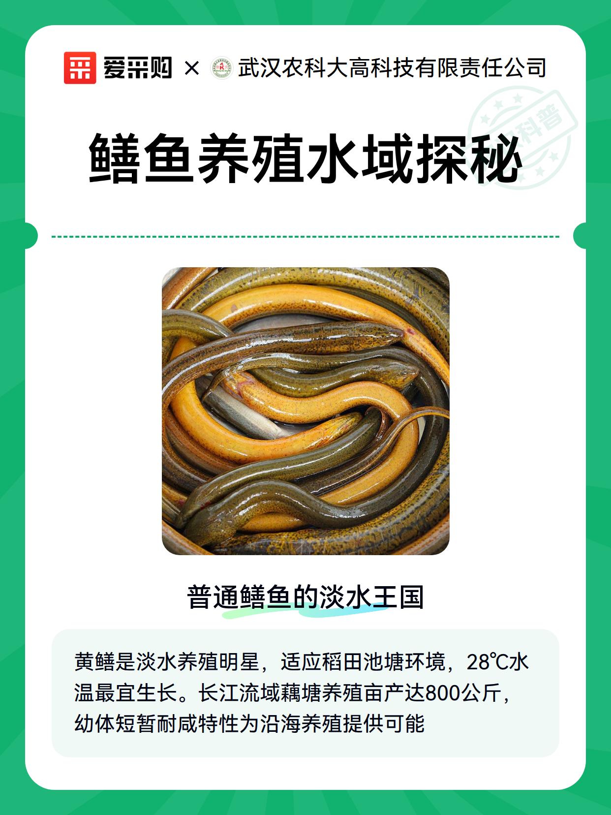 鳝鱼养殖水域探秘（图2）