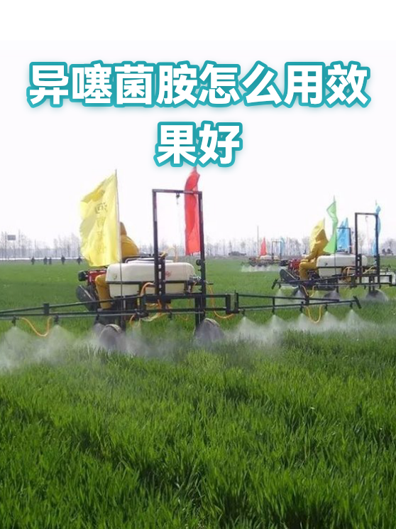 异噻菌胺怎么用效果好（图1）