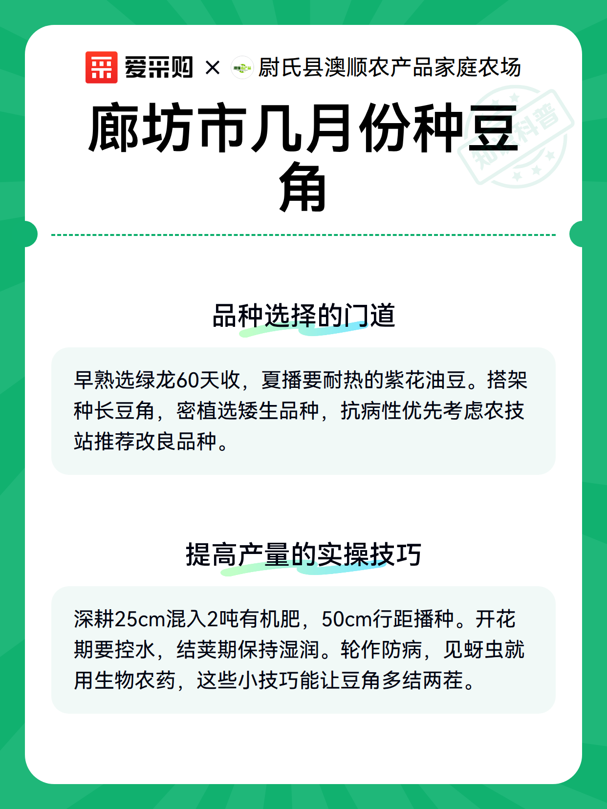 廊坊市几月份种豆角（图3）