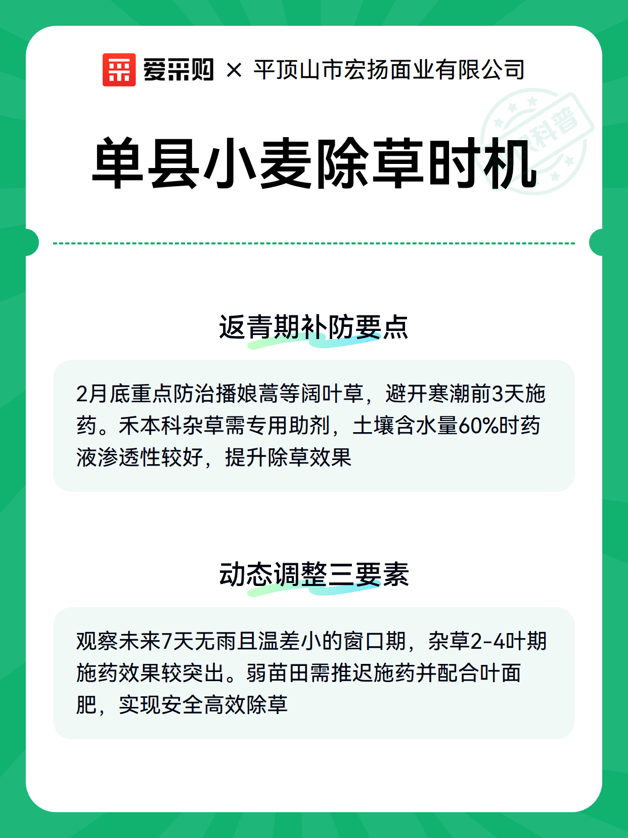 单县小麦除草时机（图2）