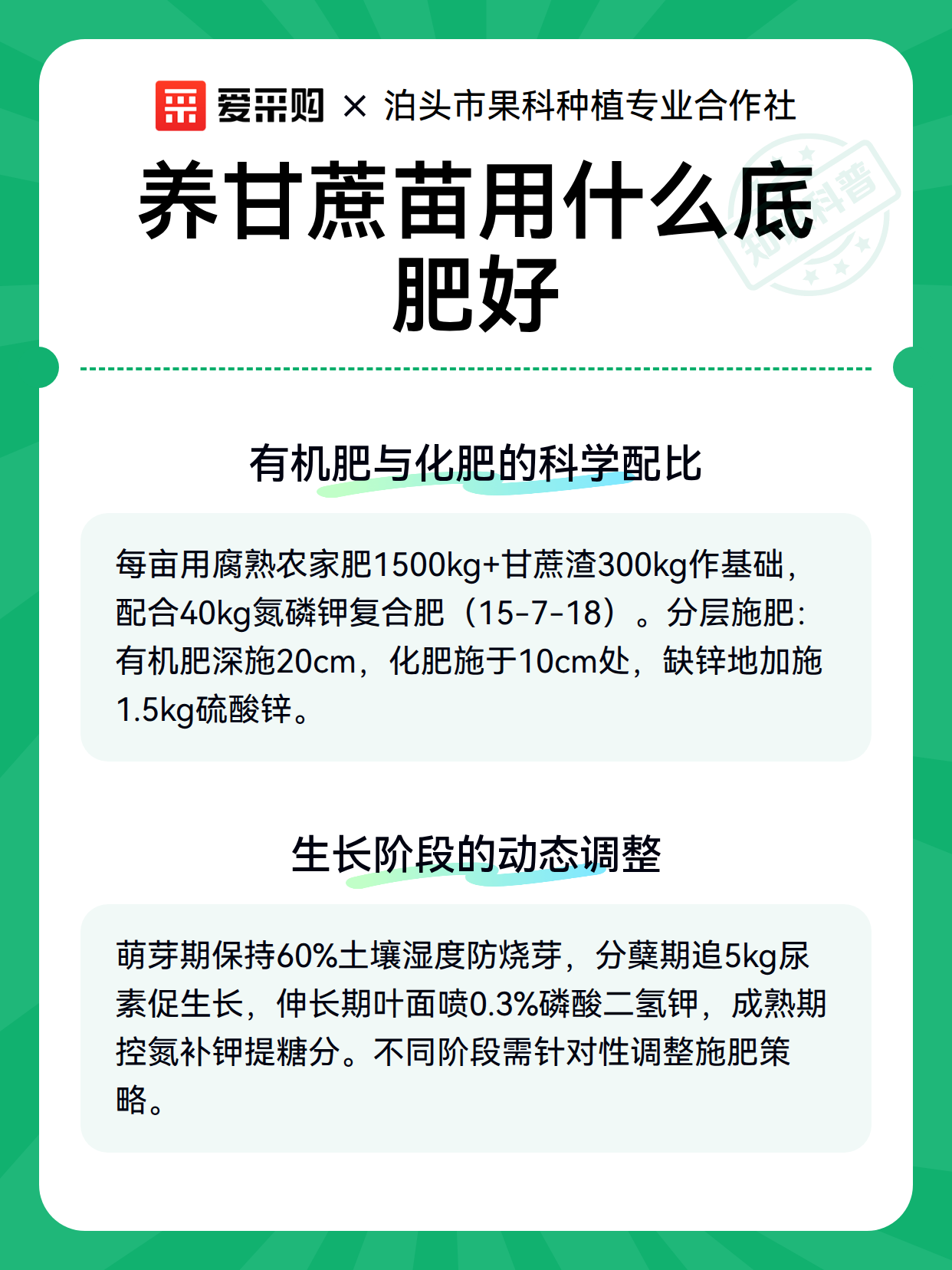 养甘蔗苗用什么底肥好（图3）