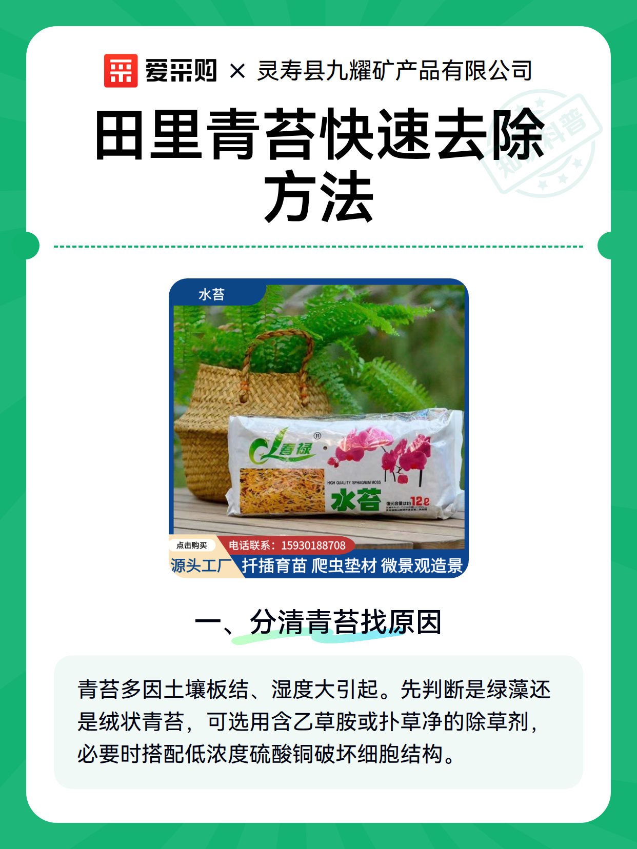 田里青苔快速去除方法（图2）