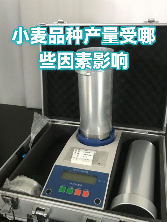 小麦品种产量受哪些因素影响（图1）