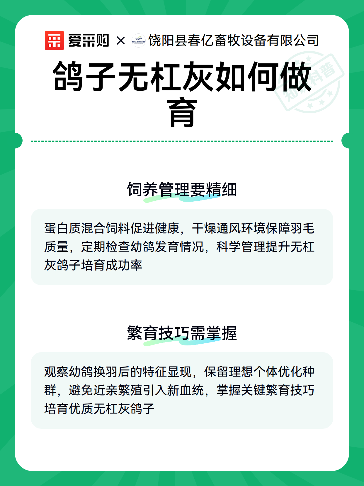 鸽子无杠灰如何做育（图2）