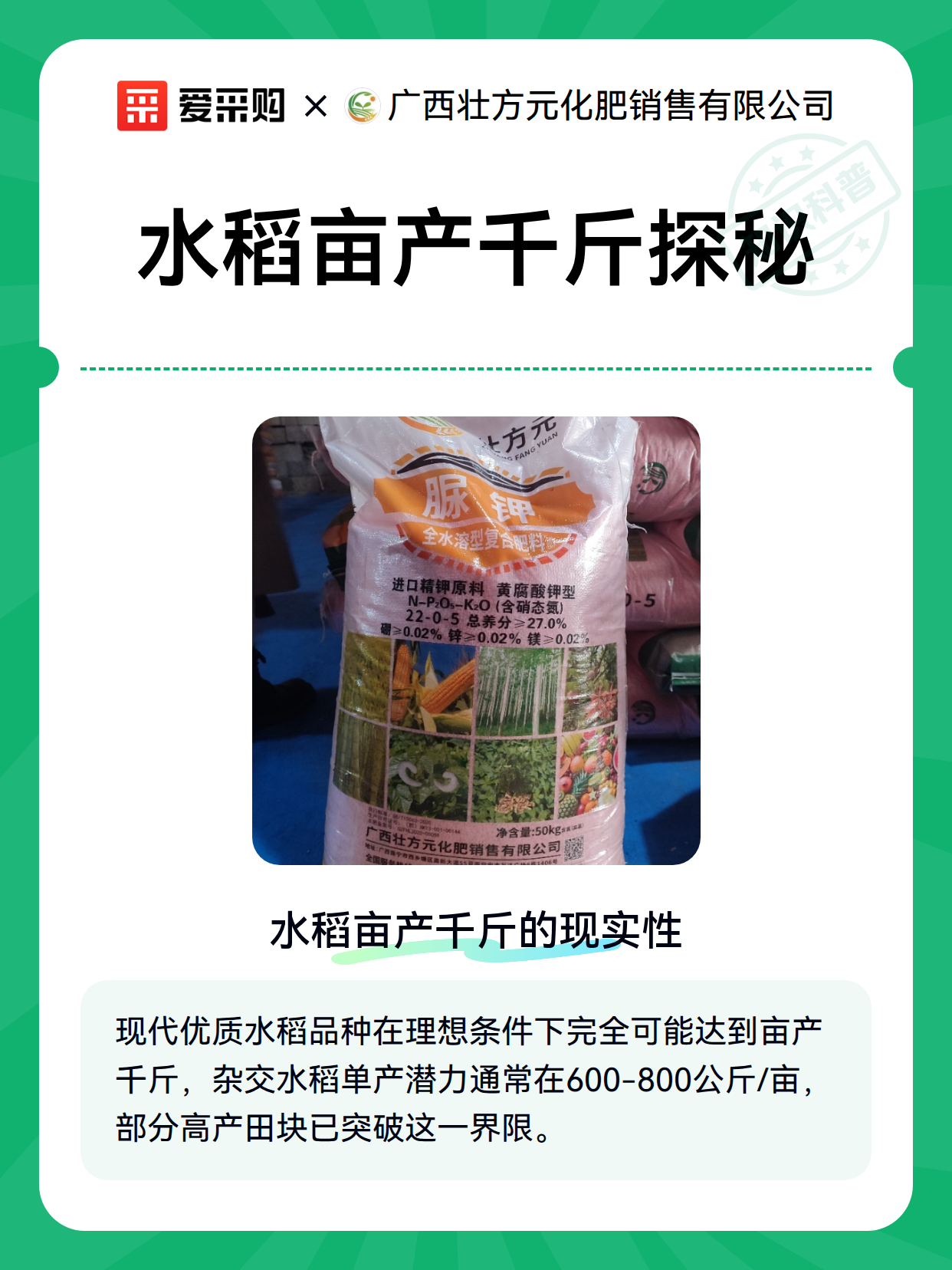 水稻亩产千斤探秘（图2）