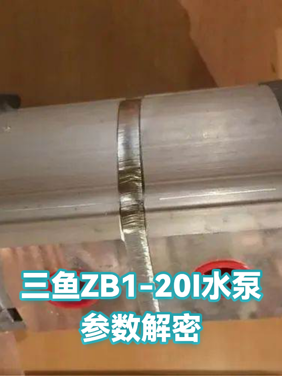 三鱼ZB1-20I水泵参数解密（图1）