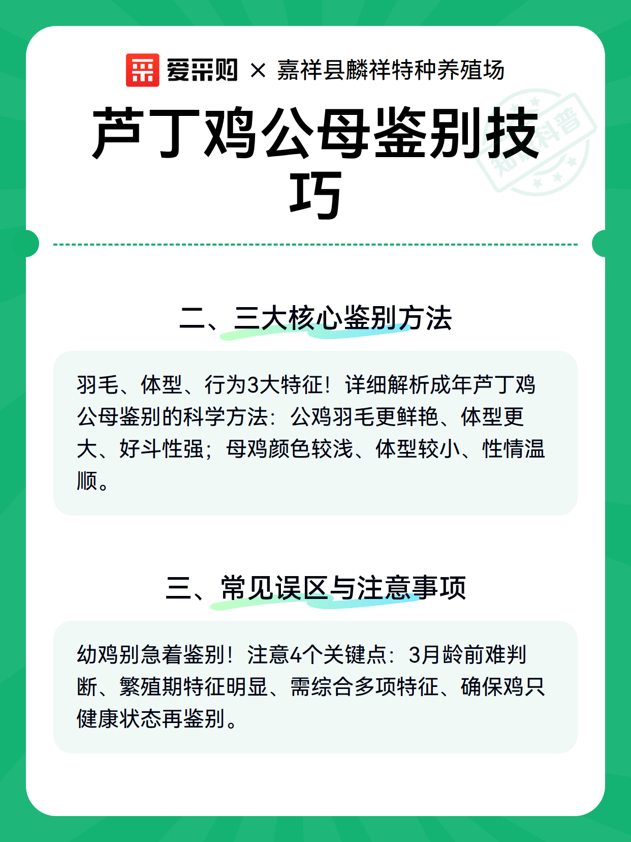芦丁鸡公母鉴别技巧（图3）