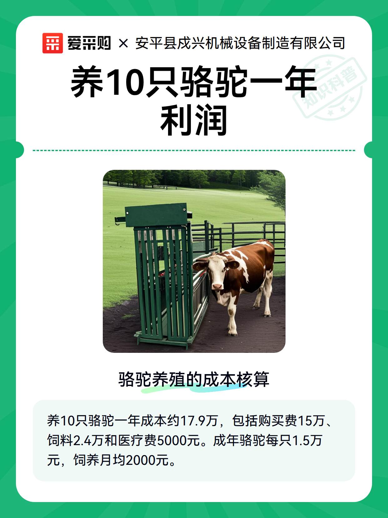 养10只骆驼一年利润（图1）