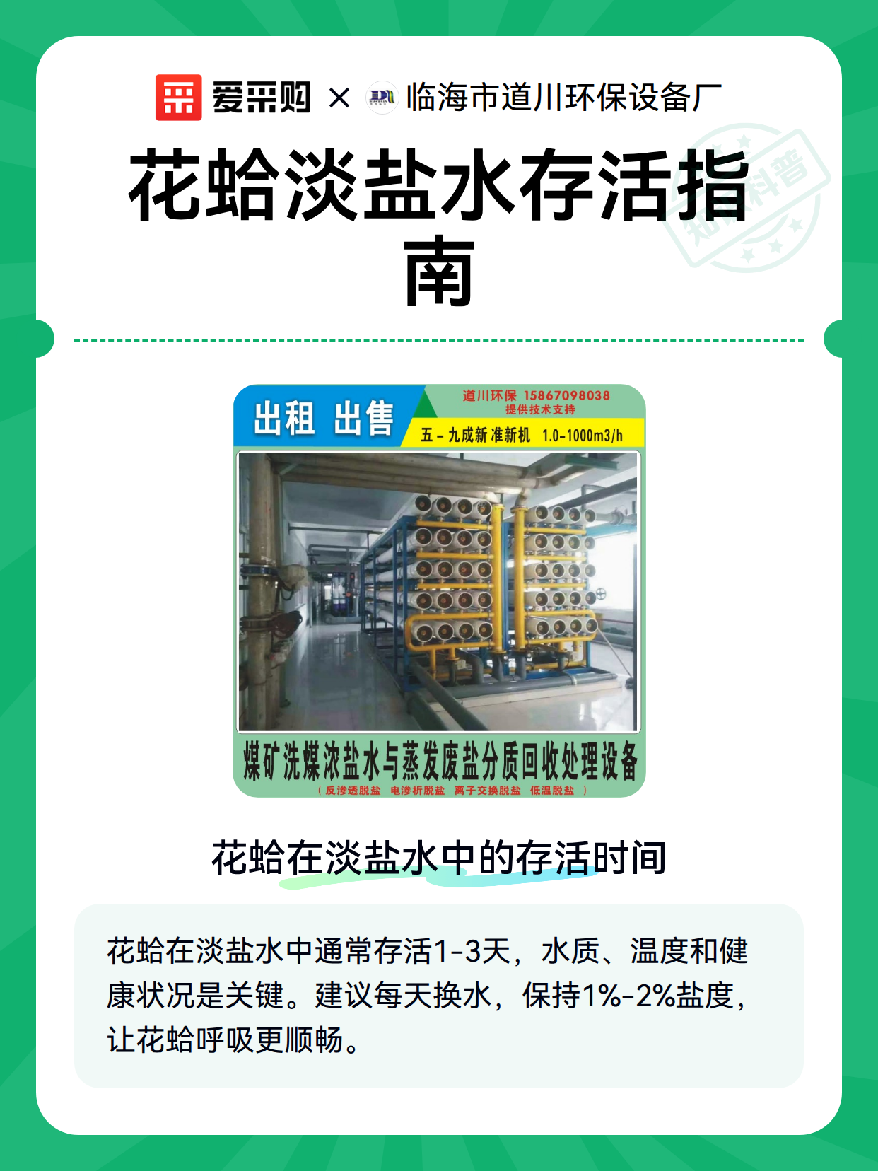 花蛤淡盐水存活指南（图1）