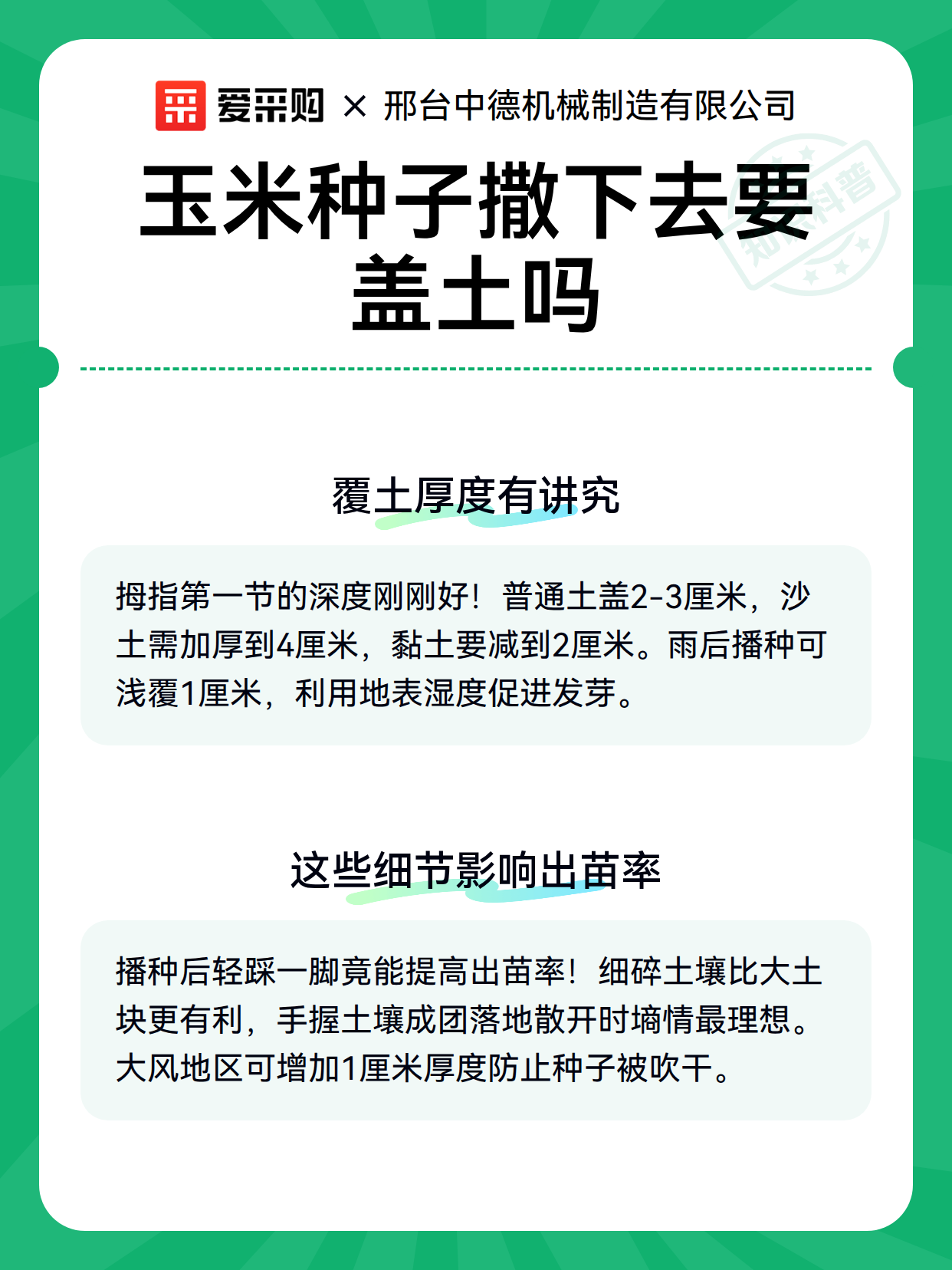 玉米种子撒下去要盖土吗（图3）