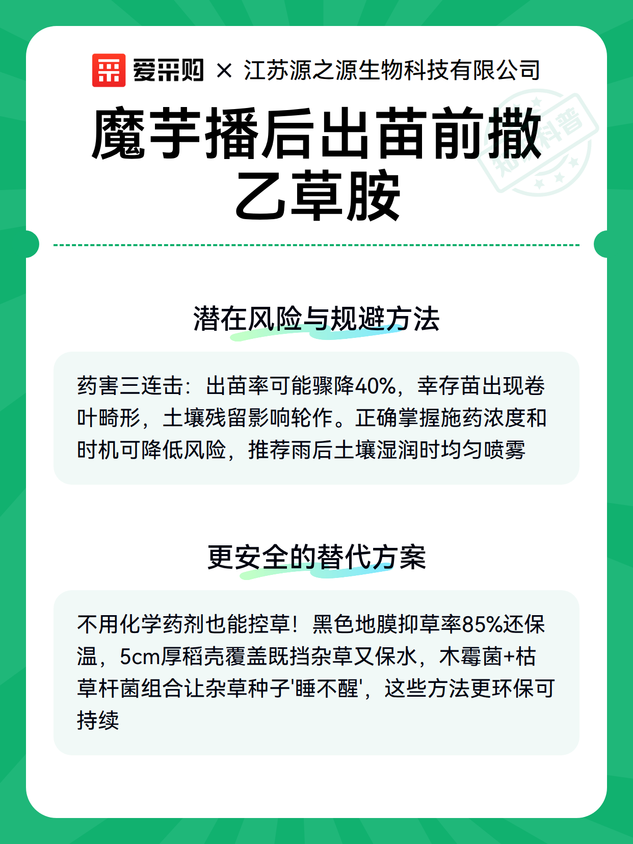 魔芋播后出苗前撒乙草胺（图3）