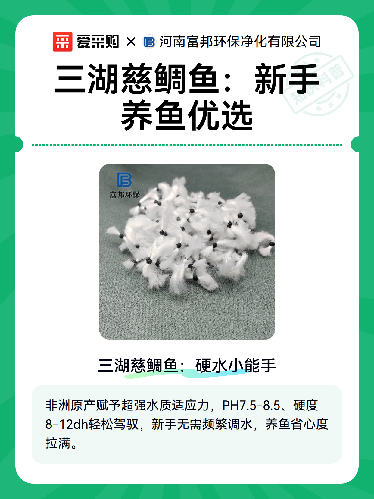三湖慈鲷鱼：新手养鱼优选（图1）