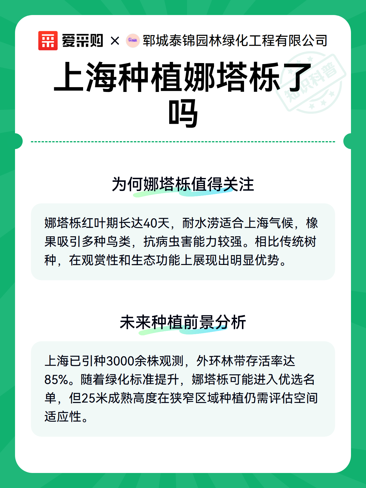 上海种植娜塔栎了吗（图3）