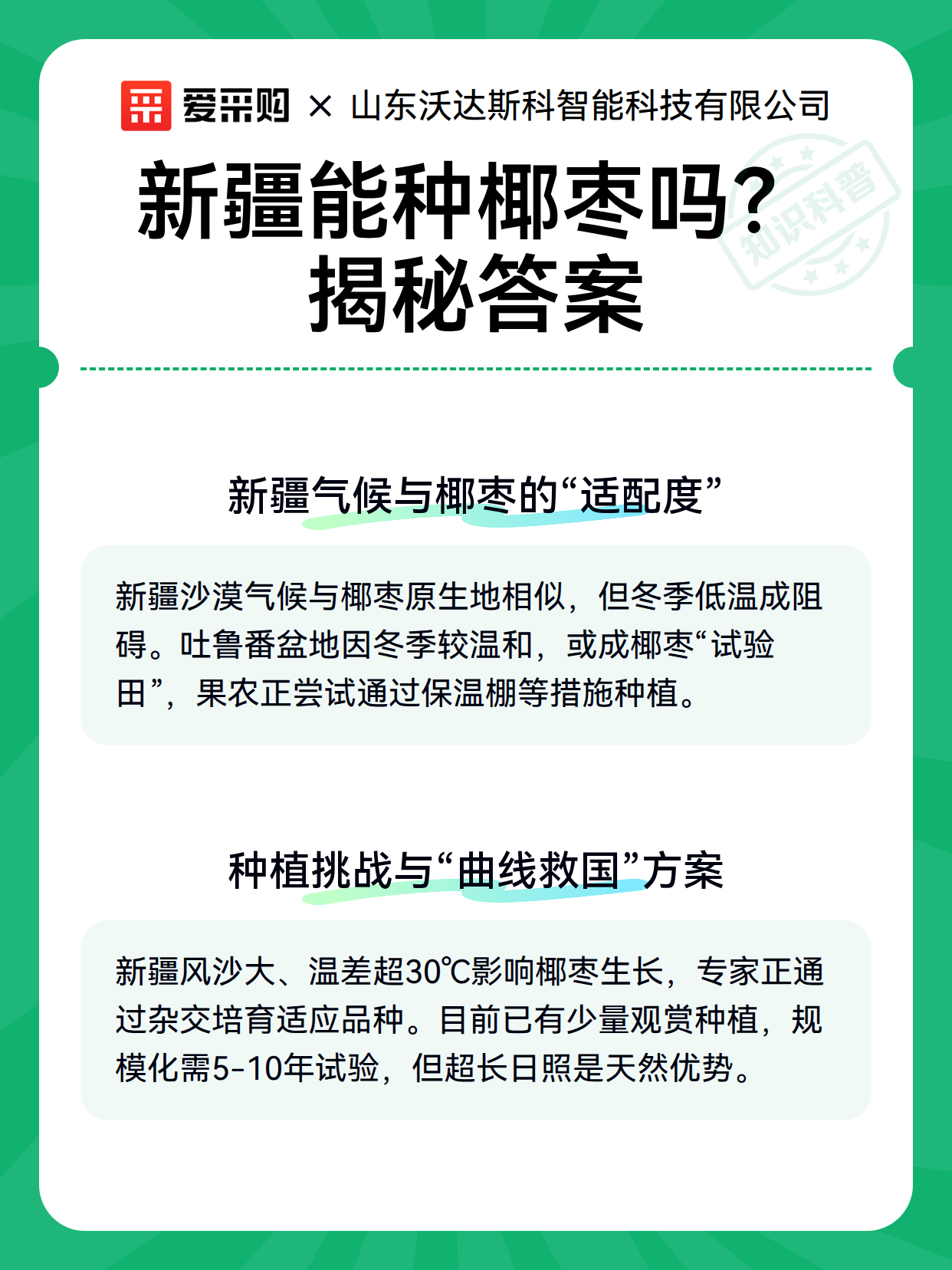 新疆能种椰枣吗？揭秘答案（图2）