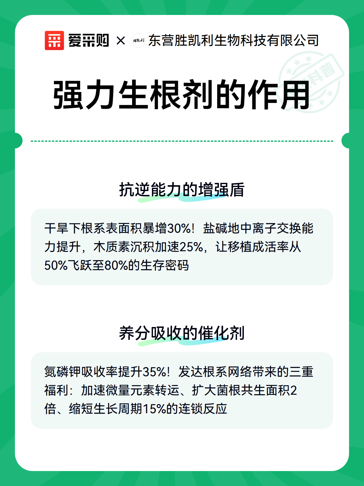 强力生根剂的作用（图3）