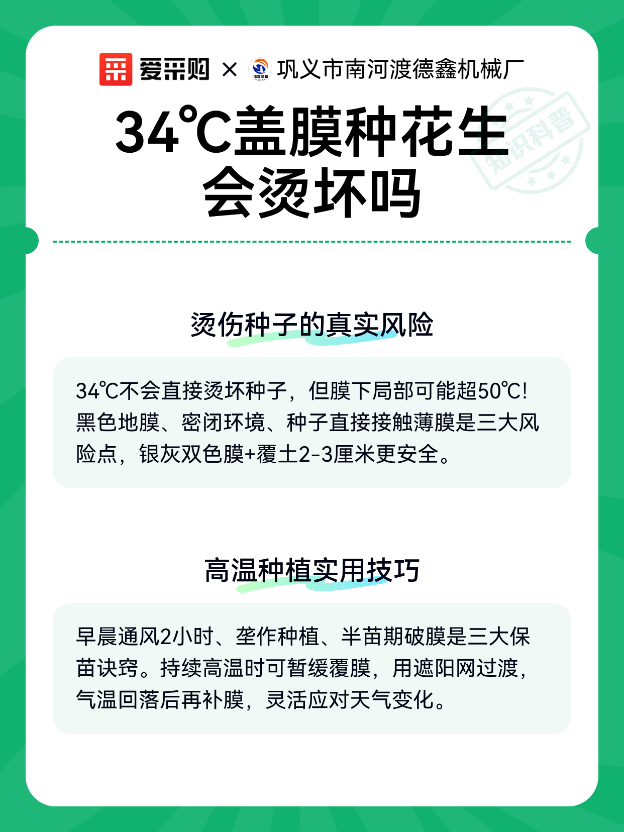 34℃盖膜种花生会烫坏吗（图2）