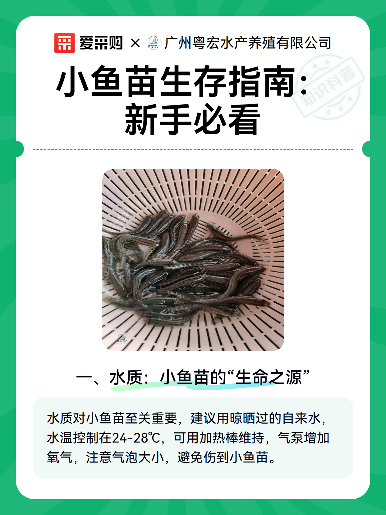 小鱼苗生存指南：新手必看（图1）