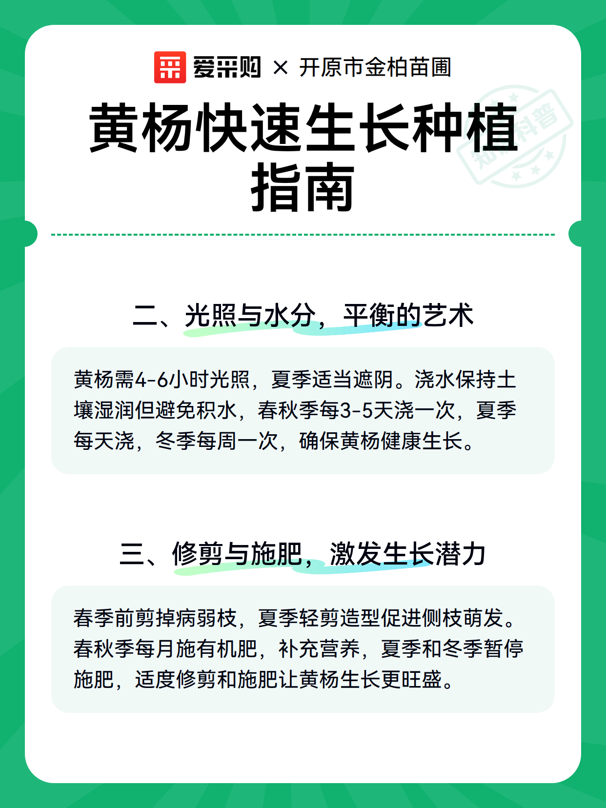黄杨快速生长种植指南（图3）