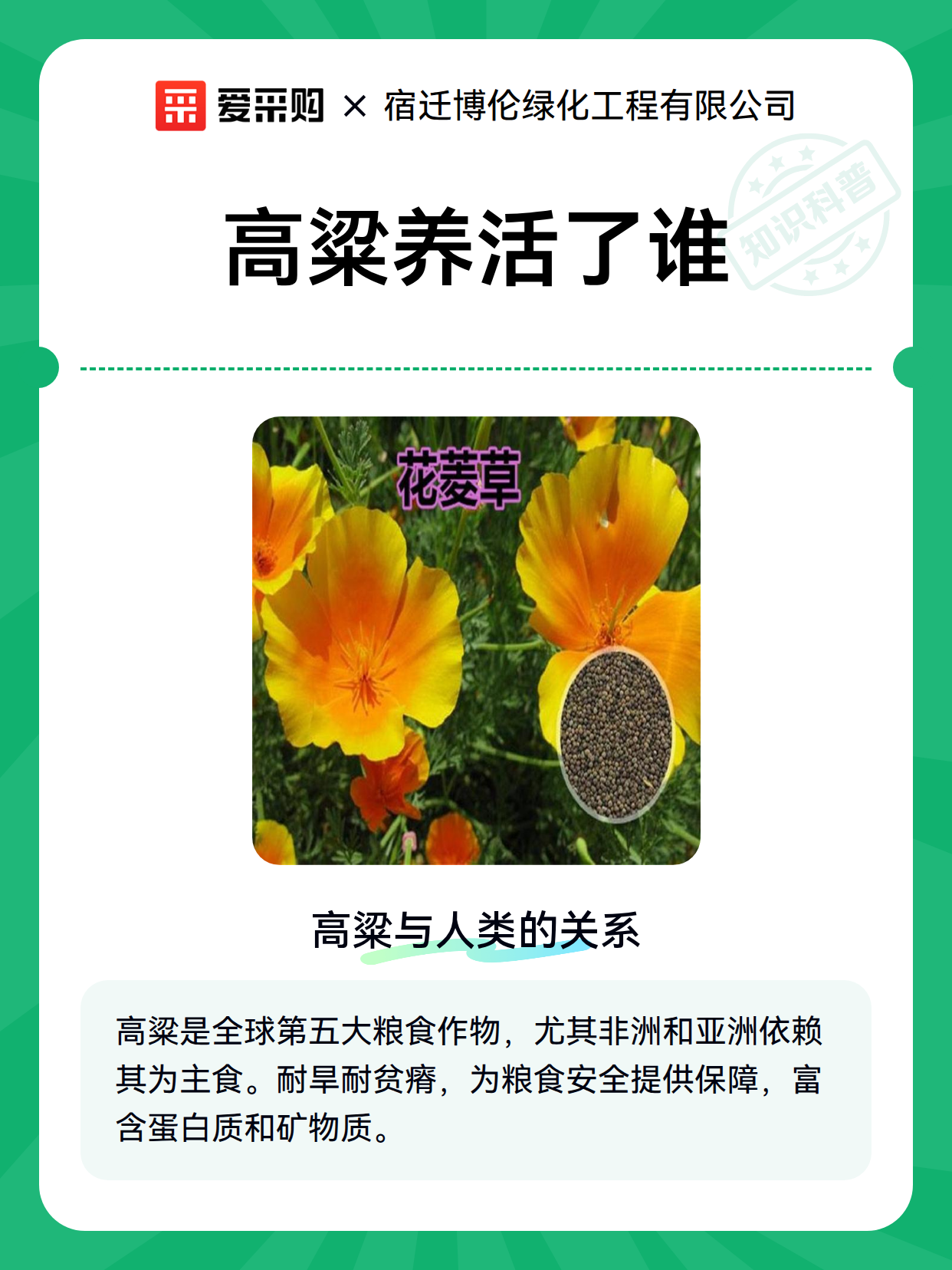 高粱养活了谁（图2）