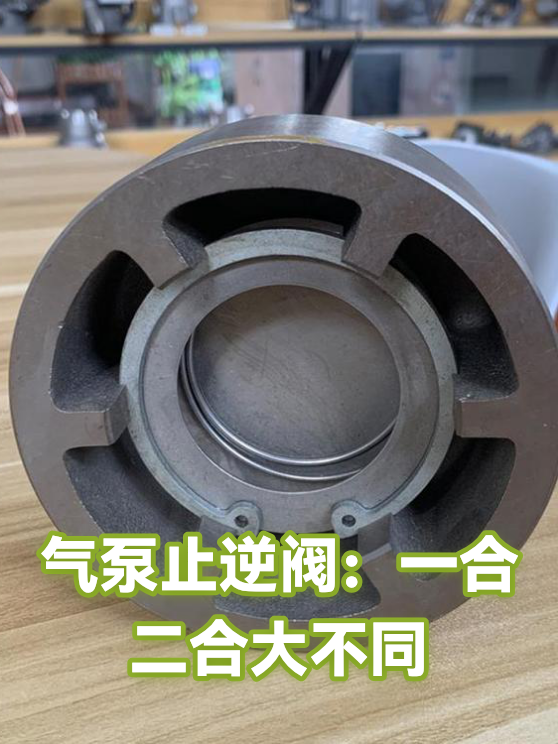 气泵止逆阀：一合二合大不同（图1）