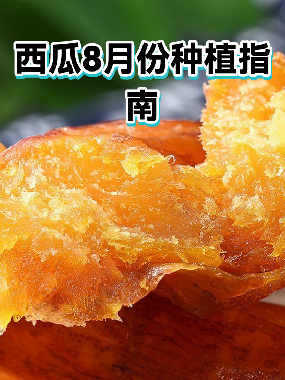 西瓜8月份种植指南（图1）