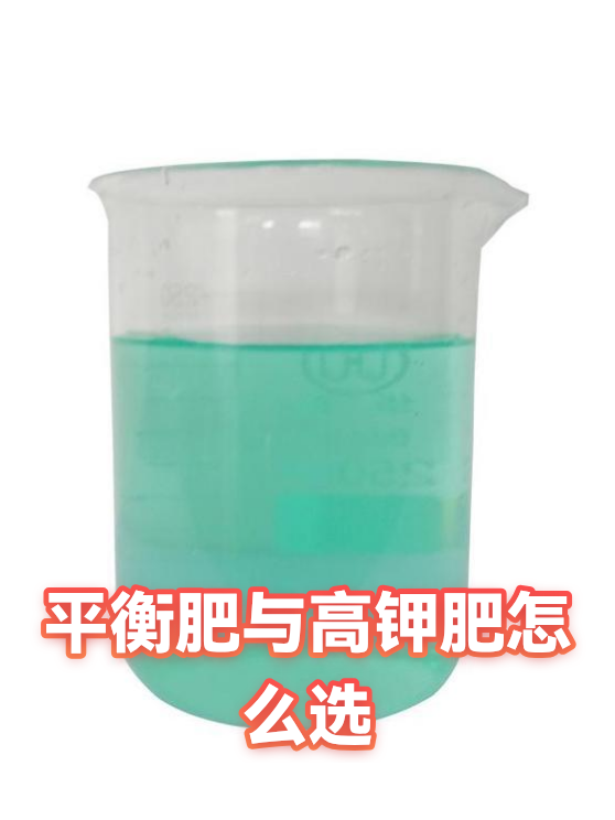 平衡肥与高钾肥怎么选（图1）