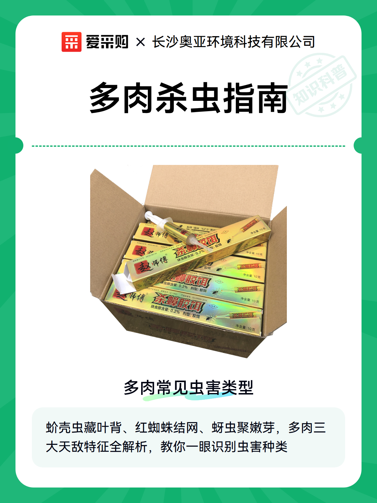 多肉杀虫指南（图1）