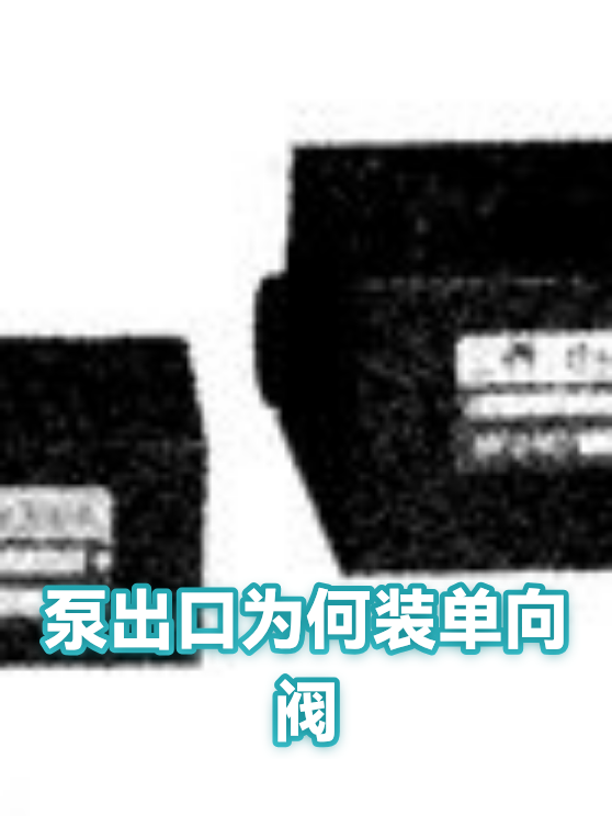 泵出口为何装单向阀（图1）