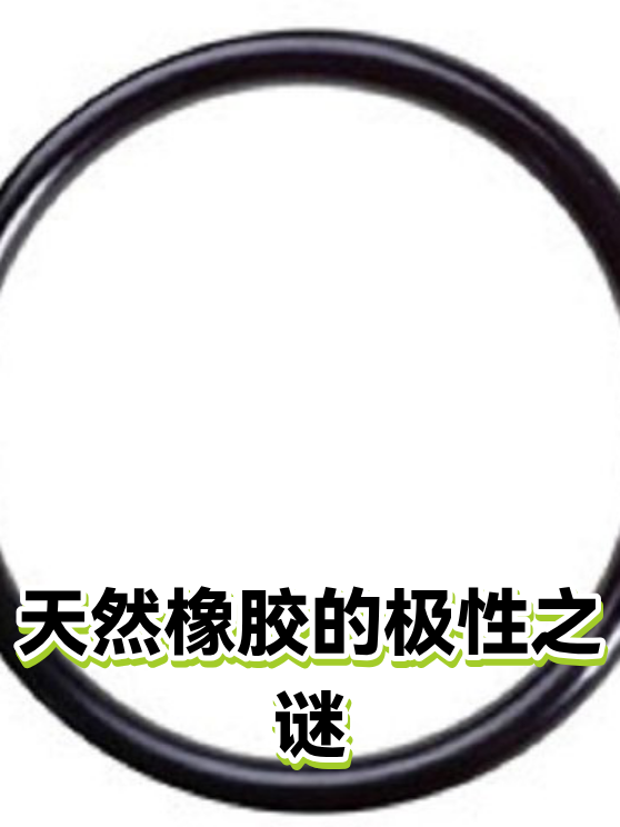 天然橡胶的极性之谜（图1）