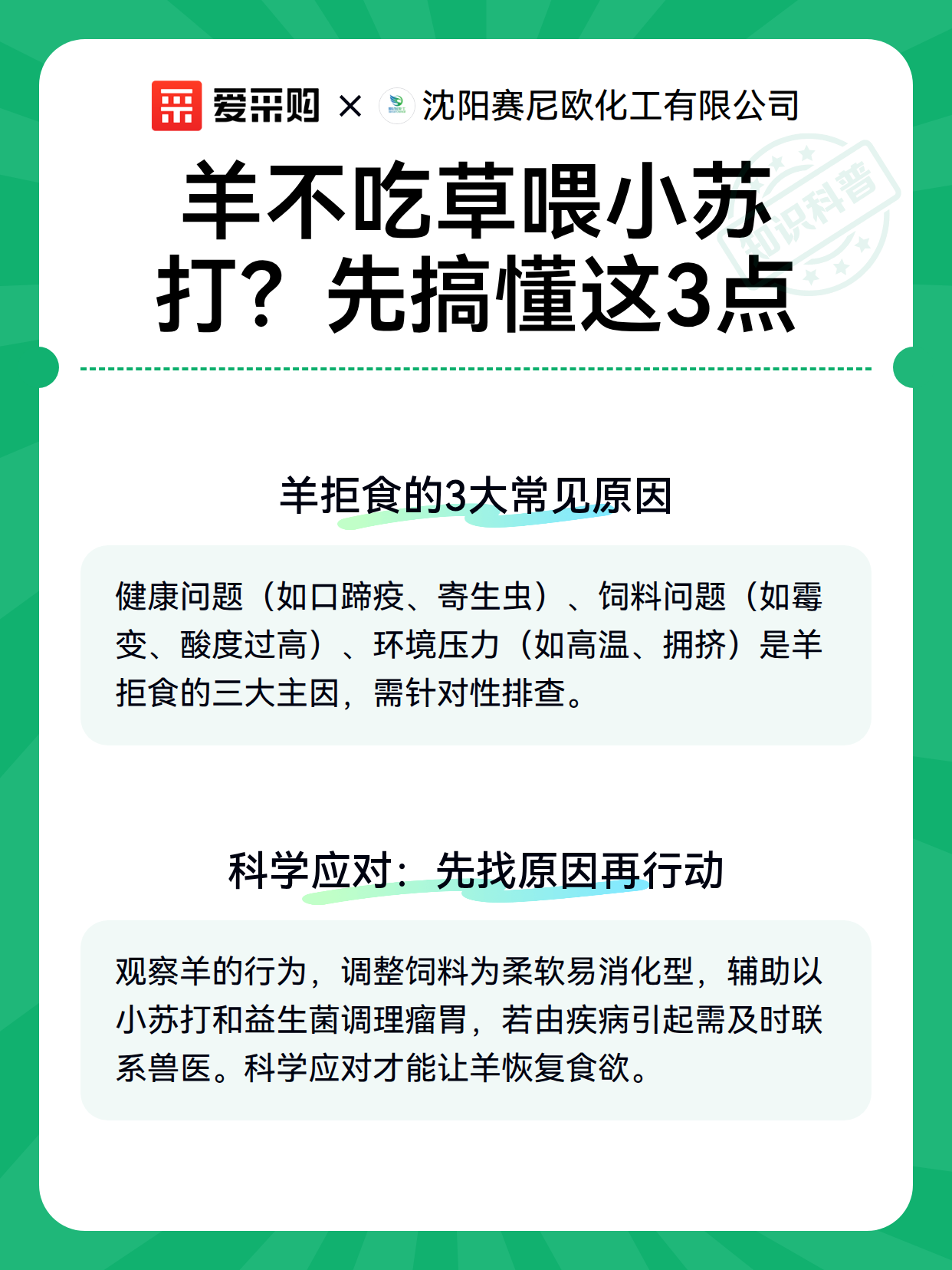 羊不吃草喂小苏打？先搞懂这3点（图3）